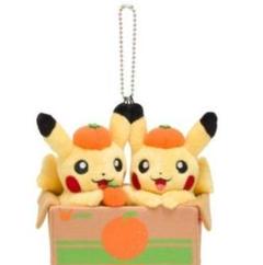 愛媛限定みかんピカチュウぬいぐるみオレンジピカチュウ