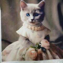 2025年最新】猫パネル生地の人気アイテム - メルカリ