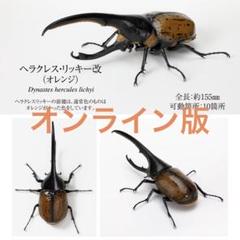 いきもの大図鑑 かぶとむし07　ヘラクレス・リッキー改（オレンジ） Amazon.co.jp: いきもの大図鑑 かぶとむし07 ヘラクレス