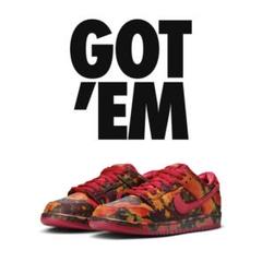 NIKE SB DUNK LOW THE WIZARD OF OZ