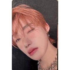 THE BOYZ  ニュー　NEW   バインダートレカ　ヨントン theboyz バインダー トレカ ニュー new ヨントン