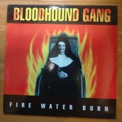 Bloodhound Gang Fire Water Burn 12インチ
