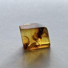 0.7g 琥珀 原石 ポリッシュ