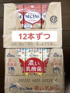 2025年最新】不二家ネクターの人気アイテム - メルカリ