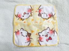 【新品未使用】猫柄★ハンドタオル