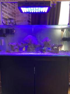 人気の 90センチ水槽セット クーラー付き 直接引き取り限定 魚用品 水草