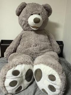 HUGFUN 53インチ プラッシュテディベア Amazon.co.jp: テディベア (アイボリー) HUGFUN クマの