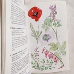 新しいスタイル 初売り】 1990年 フランスの希少な植物図鑑