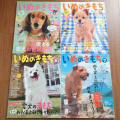 ベネッセ いぬのきもち 2015年4月〜7月 4冊セット