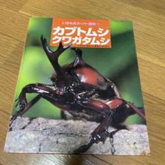 「いきものスーパー百科　① カブトムシ・クワガタムシ」