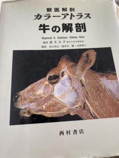 牛病カラーアトラス　裁断済 m76436853271_1.jpg?1613085807