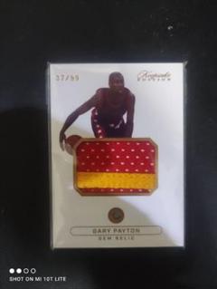 keepsake gary payton relic /99のサムネイル