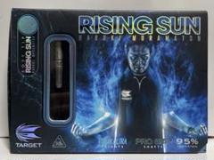 Rising Sun ライジングサンG7 2BA 村松春樹 2025年最新】Rising Sun ダーツの人気アイテム - メルカリ