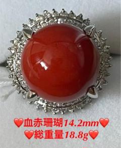 2022年最新】血赤珊瑚 PT900の人気アイテム - メルカリ 特別セール価格 Pt900 血赤珊瑚ペンダントトップ D0.05ct 3.0g さんご ネックレス