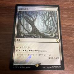 MtG 悪臭の荒野　ゼンディカーエクスペディション Amazon.co.jp: 英語版フォイル マスターピースシリーズ