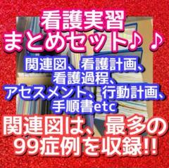USB 看護学生 実習 関連図 看護計画 ヘンダーソン　アセスメント ゴードン