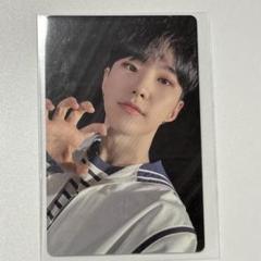 SEVENTEEN 2017 Carat land ペンミ ホシ トレカ SEVENTEEN SVT セブチ ホシ スニョン HOSHI うちわ image picket
