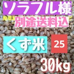 令和6年度　くず米30Kg くず米 30kg (令和6年度産) 精米済み
