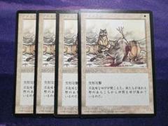 2025年最新】tundra mtgの人気アイテム - メルカリ