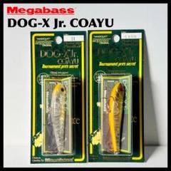 メガバス ドッグX ジュニア コアユ セットBのサムネイル