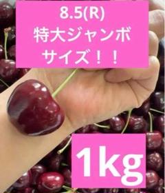 ミーナファーム　プレミアムチェリー　1kg アメリカンチェリー　さくらんぼのサムネイル