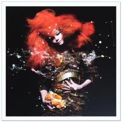 新品　ビョーク　Cornucopia ポスター 2025年最新】bjork ポスターの人気アイテム - メルカリ