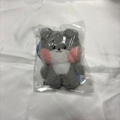 LINE FRIENDS ZB1 ゴヌク ゴニニ ぬいぐるみ キーホルダー