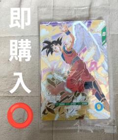 【未使用】孫悟空　sdvp-020