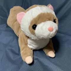 アミューズ くったり ろんぐフェレット ぬいぐるみ ウルトラBIG らてちゃん