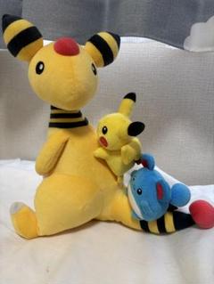 ポケモンセンターオリジナル マスコット Pokemon Petit ワニノコ