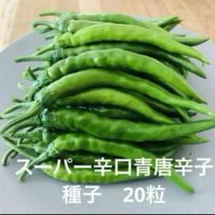 青唐辛子 スーパー辛口 種子 20粒 - メルカリ