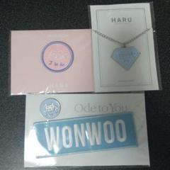 SEVENTEEN ウォヌ ワッペンバッジ チャーム セット SEVENTEEN ウォヌ ワッペンバッジ チャーム セット