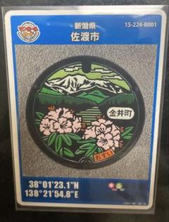 新潟 佐渡 金井 マンホールカード 第2弾 初版 トキ 朱鷺 初期