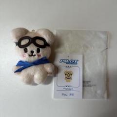 【即購入⭕️】スンミン パピーム skzoo 10cmぬい ボールペン PILOT 2025年最新】SKZoo 10cm pilotの人気アイテム - メルカリ