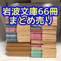 岩波ジュニア新書 47冊まとめ売り