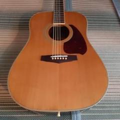 【美品】Morris F-LTDⅡ アコースティックギター Ibanezケース Guitar Cases | Accessories | MORRIS GUITARS