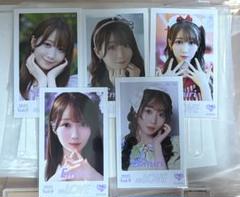 大谷映美里 ミニフォトvor.9 ID レア 猫 = LOVE イコラブ LOVE イコラブ ミニフォトカード vol.9 大谷映美里 コンプ