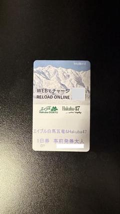 長野県エイブル白馬五竜&Hakuba47スキー場共通リフト券【大人1日