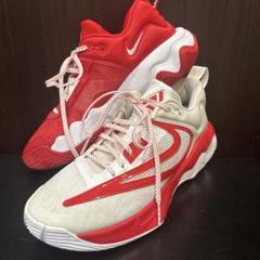 新品未使用 NIKE ナイキ ヤニス イモータリティー3ASW EP 25cm