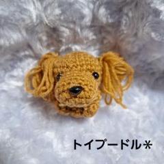 あみぐるみ＊トイプードル＊ハンドメイド