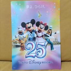 ディズニー⭐︎25周年限定⭐︎クリアファイル ディズニー⭐︎25周年限定⭐︎クリアファイル