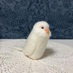 15☆セキセイインコ☆アルビノ(赤目)☆実物大