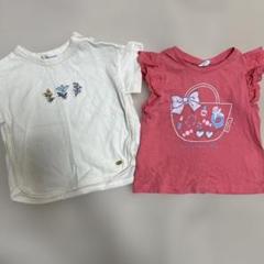 ピューピルハウス ロペピクニック 100