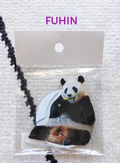 アドベンチャーワールド アクリルスタンド（セット） アドベンチャーワールドグッズ✨ 🐼🧡🐼🧡🐼🧡🐼 可愛い和歌山の