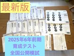 最新版　今年度２０２５年前期分　日能研　6年生　育成テスト　全国公開模試