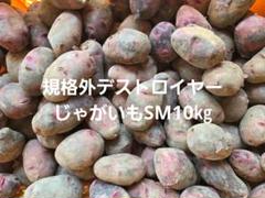 長崎県産規格外デストロイヤーじゃがいもSM 10㎏ - メルカリ