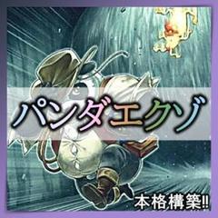 【2日以内に発送】 遊戯王 本格構築済み HERO エクゾディアデッキ 2日以内に発送】 遊戯王 本格構築済み HERO エクゾディアデッキ