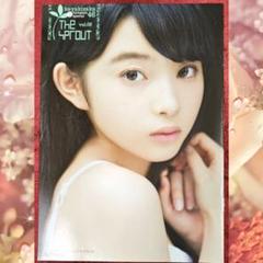 アップトゥボーイ付録ミニブック けやき坂46