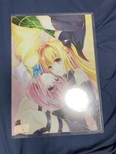 Amazon.co.jp: To LOVEる 15周年記念原画展 アクリル