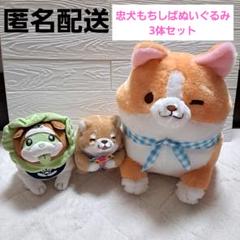 【新品タグ付き】忠犬もちしばぬいぐるみ3体セット
